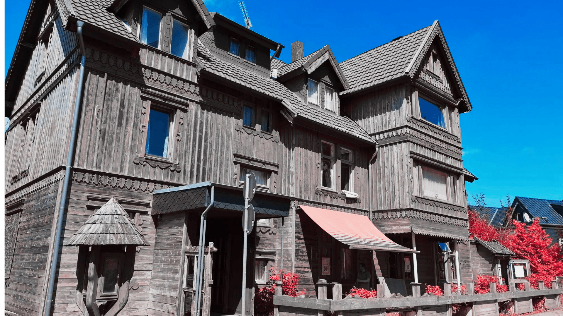 Viktoria Luise und die Schmetterlinge